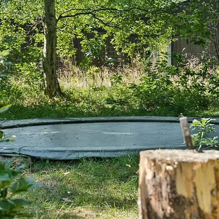 House By Sejero Bay With Sunset *